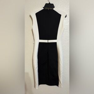 Calvin Klein Monochrome Dress